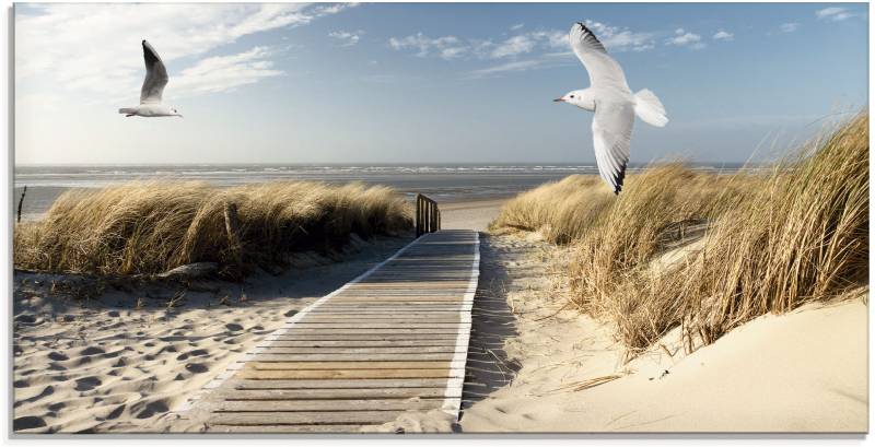 Artland Glasbild »Nordseestrand auf Langeoog mit Möwen«, Strand, (1 St.), in verschiedenen Grössen von Artland