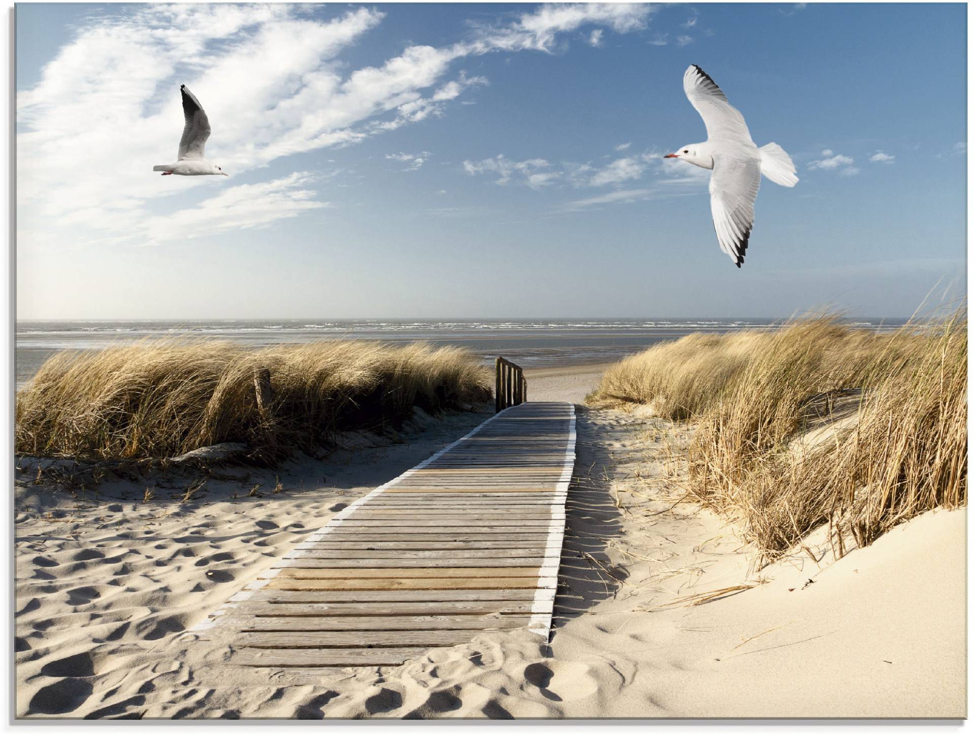 Artland Glasbild »Nordseestrand auf Langeoog mit Möwen«, Strand, (1 St.), in verschiedenen Grössen von Artland