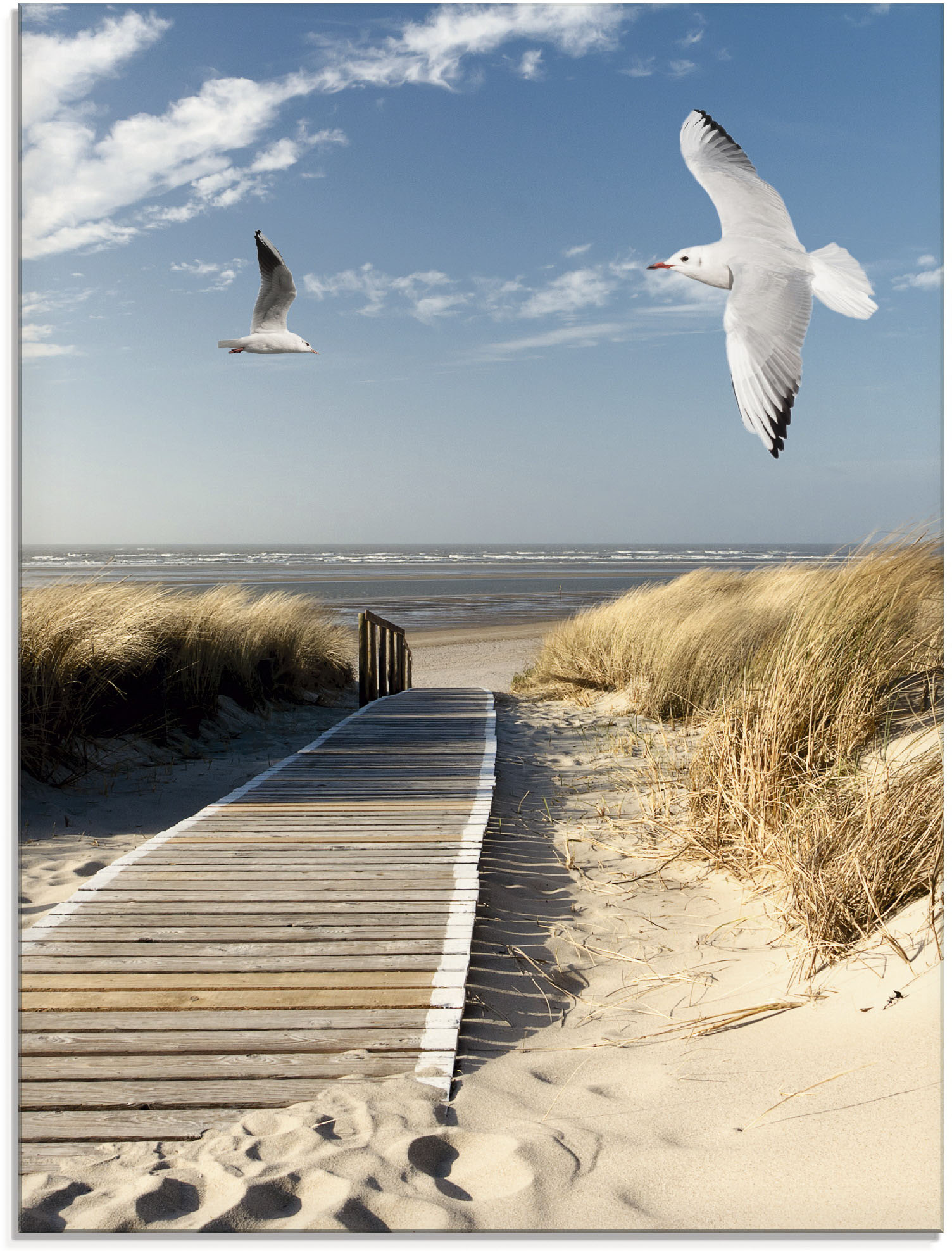 Artland Glasbild »Nordseestrand auf Langeoog mit Möwen«, Strand, (1 St.), in verschiedenen Grössen von Artland