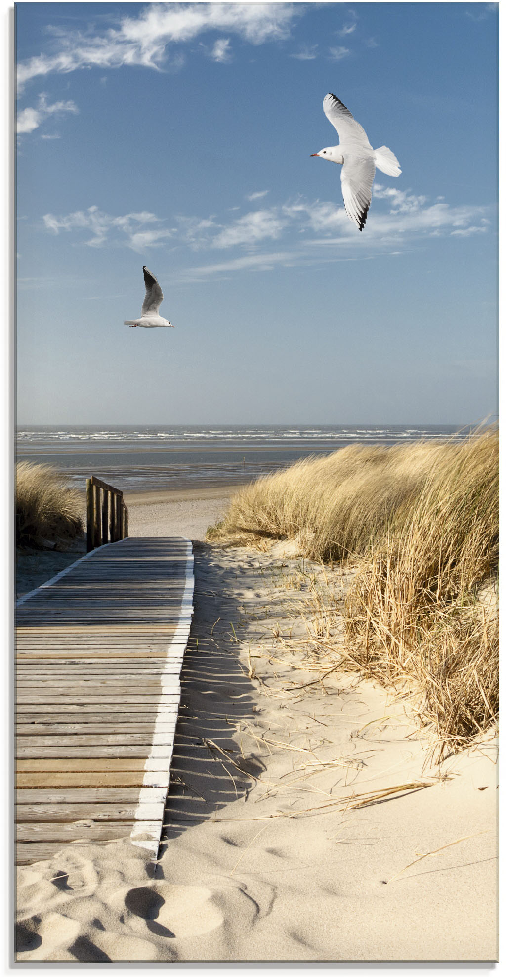 Artland Glasbild »Nordseestrand auf Langeoog mit Möwen«, Strand, (1 St.), in verschiedenen Grössen von Artland