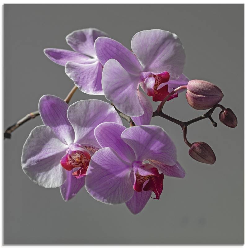 Artland Glasbild »Orchideentraum«, Blumen, (1 St.), in verschiedenen Grössen von Artland