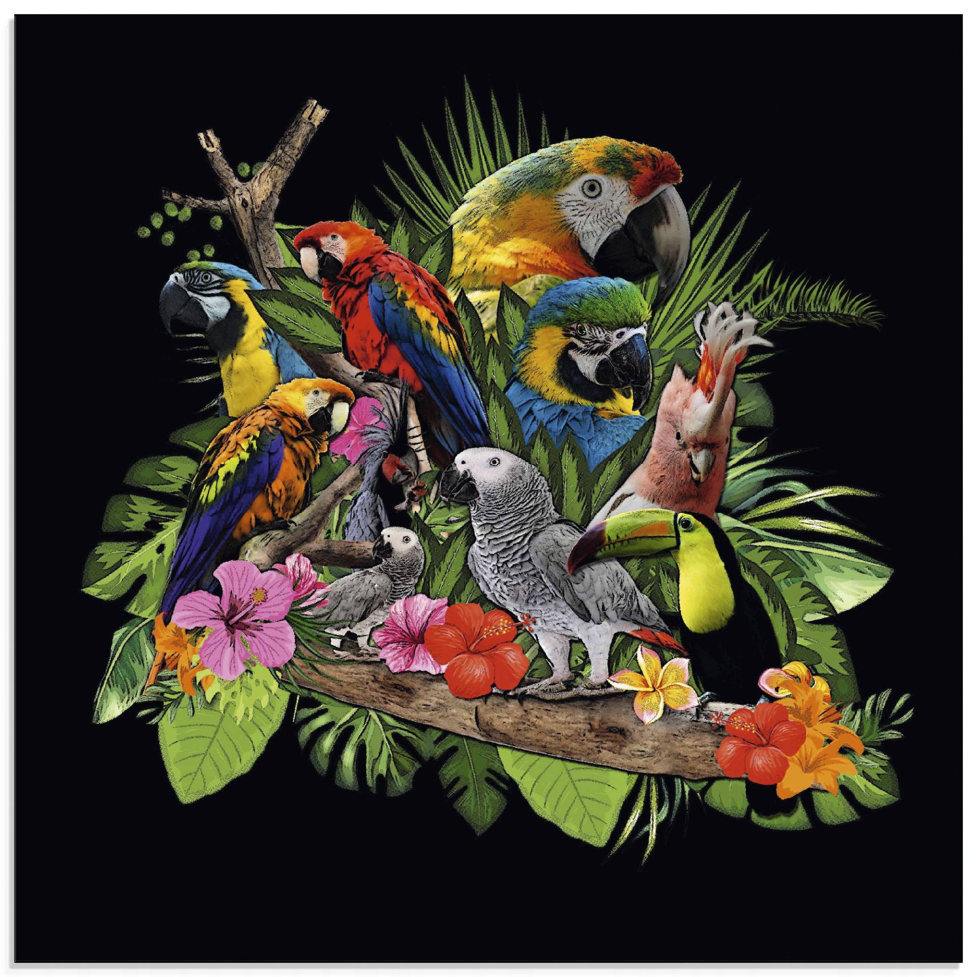 Artland Glasbild »Papageien Graupapagei Kakadu Dschungel«, Vögel, (1 St.), in verschiedenen Grössen Artland Glasbild »Papageien Graupapagei Kakadu Dschungel«, Vögel, (1 St.), in verschiedenen Grössen von Artland
