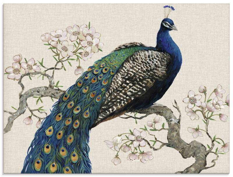 Artland Glasbild »Pfau & Blüten I«, Vögel, (1 St.), in verschiedenen Grössen von Artland