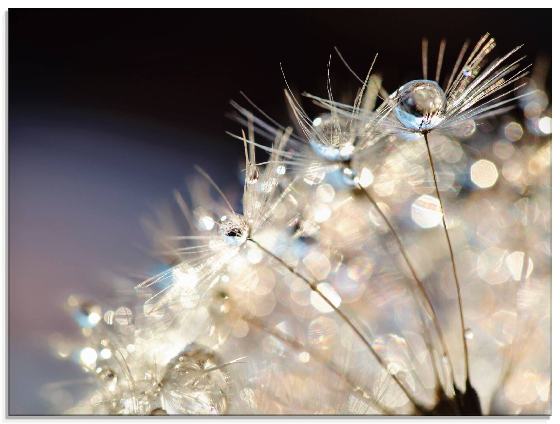 Artland Glasbild »Pusteblume Fantasie«, Blumen, (1 St.), in verschiedenen Grössen von Artland