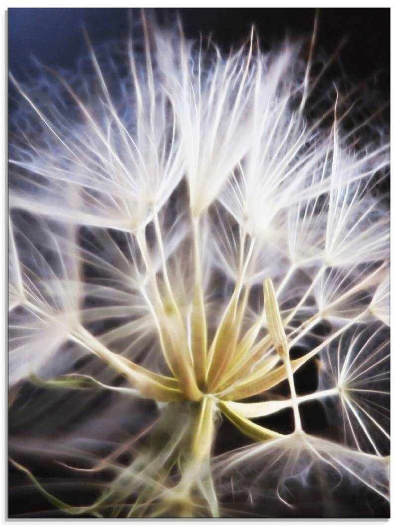 Artland Glasbild »Pusteblume Nahaufnahme«, Blumen, (1 St.), in verschiedenen Grössen von Artland