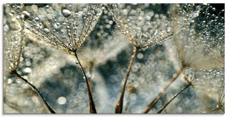 Artland Glasbild »Pusteblume Regenschauer«, Blumen, (1 St.), in verschiedenen Grössen von Artland