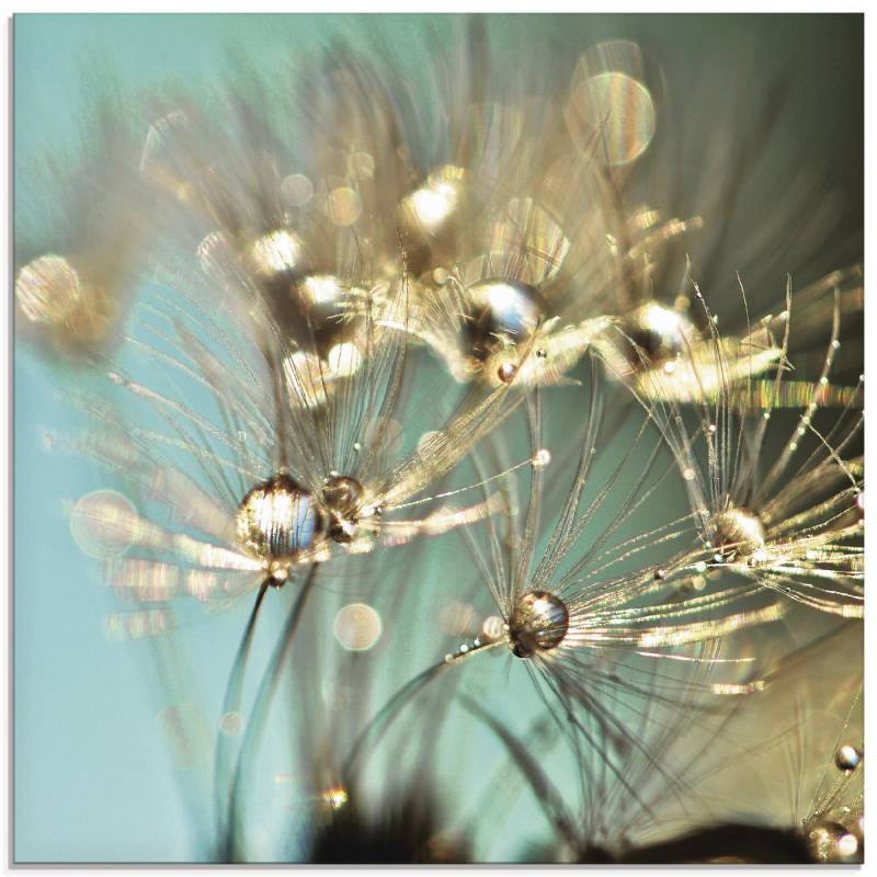 Artland Glasbild »Pusteblume glänzendes Gold«, Blumen, (1 St.), in verschiedenen Grössen von Artland