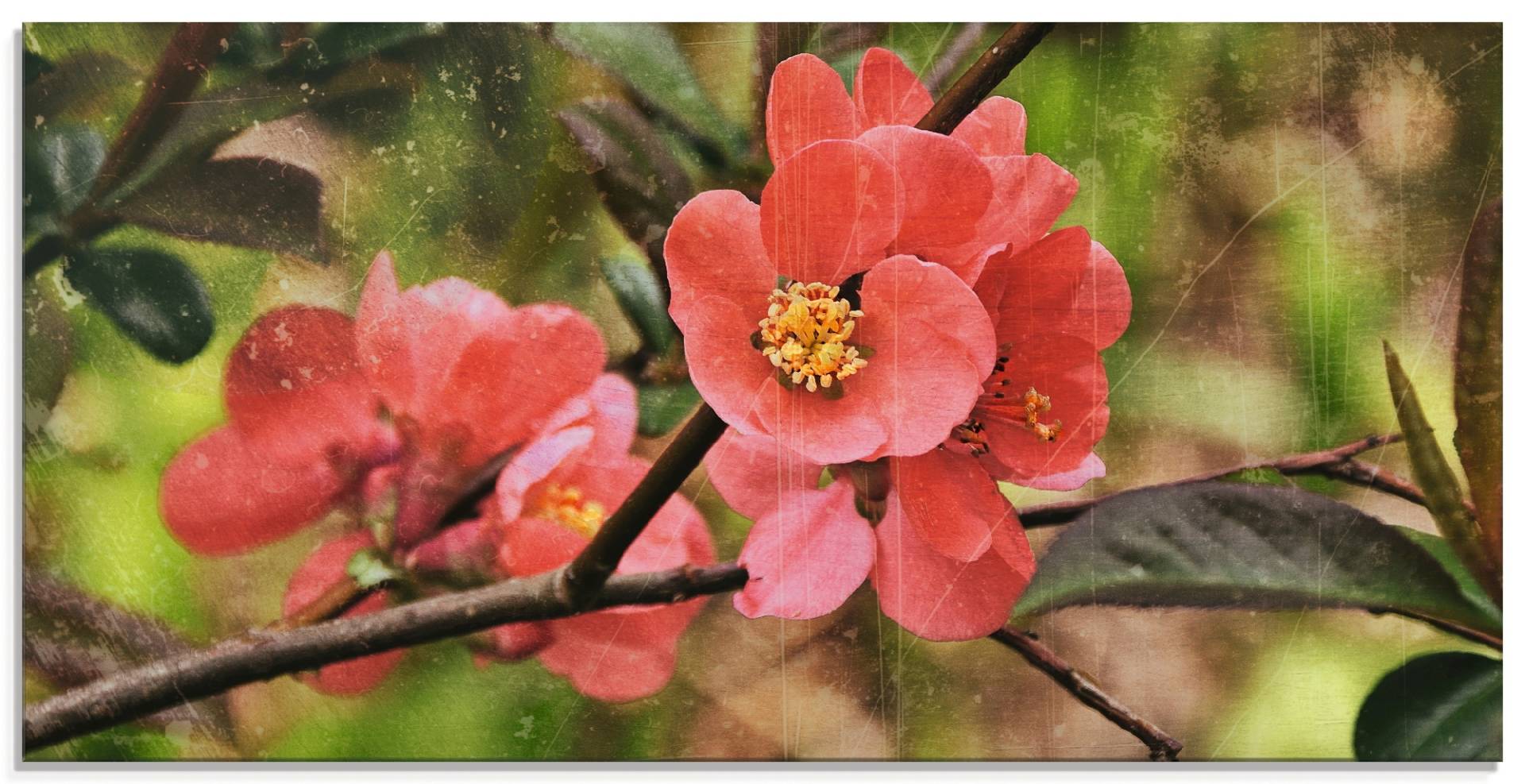 Artland Glasbild »Quittenblüte«, Blumen, (1 St.), in verschiedenen Grössen von Artland