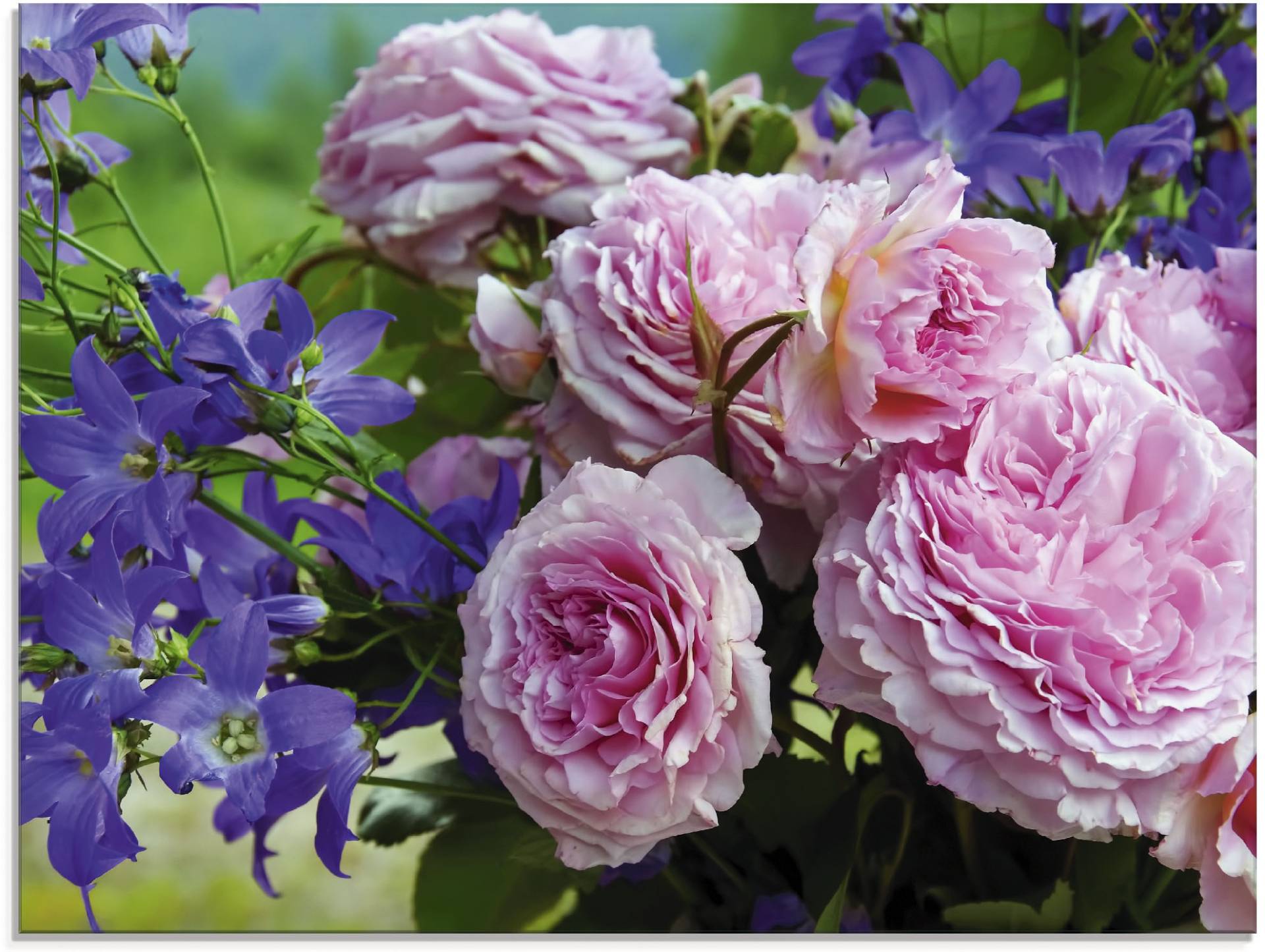 Artland Glasbild »Rosen und Glockenblumen«, Blumen, (1 St.), in verschiedenen Grössen von Artland