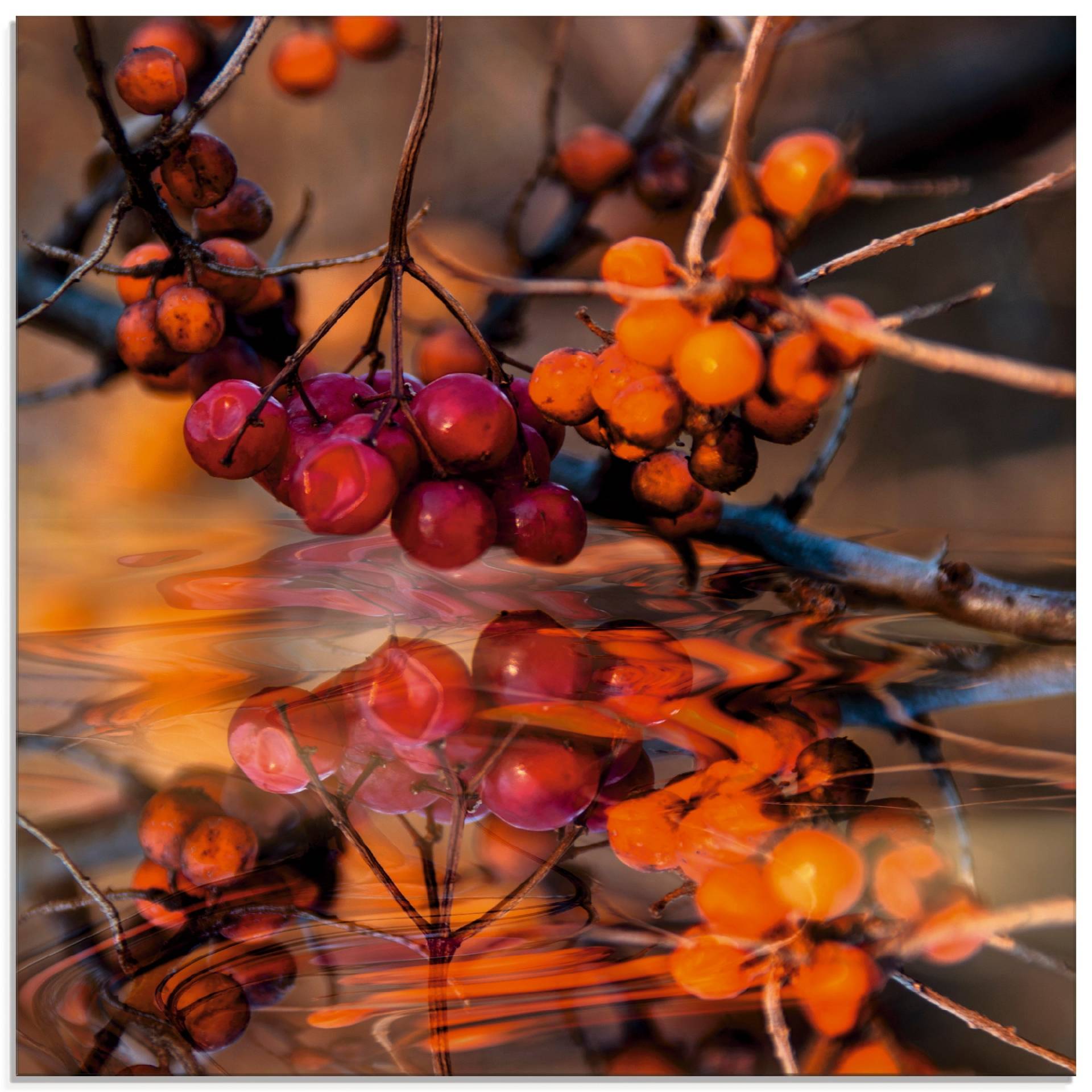 Artland Glasbild »Rote Beeren - Wildbeeren«, Pflanzen, (1 St.), in verschiedenen Grössen von Artland