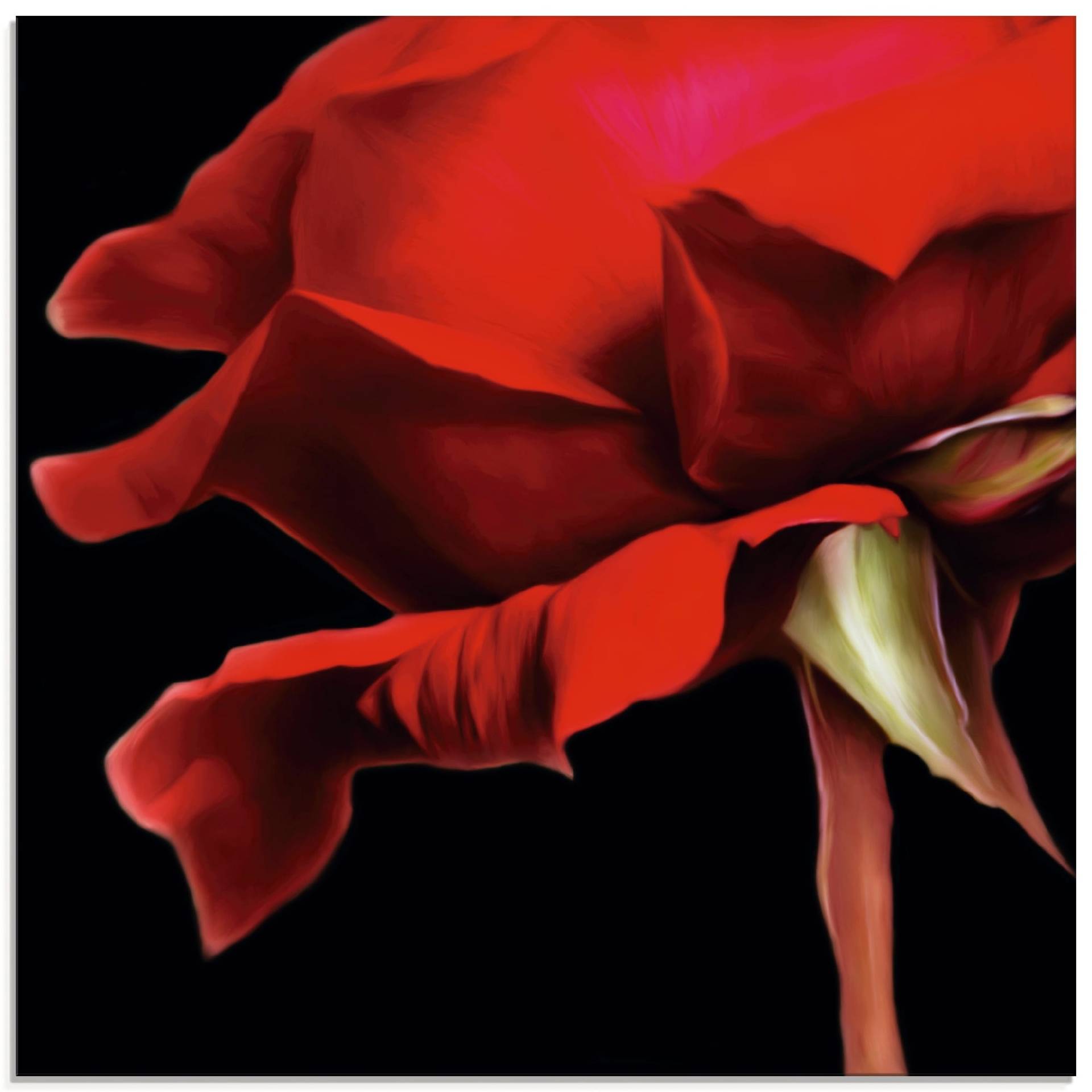 Artland Glasbild »Rote Rose«, Blumen, (1 St.), in verschiedenen Grössen von Artland