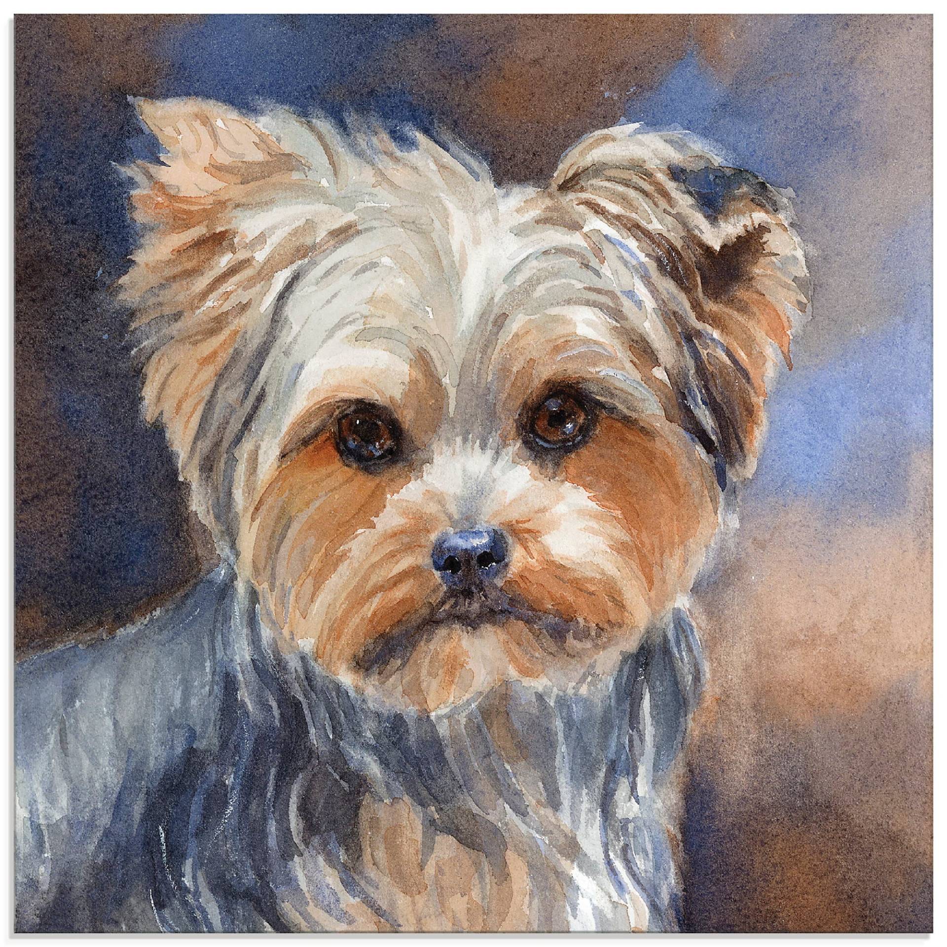 Artland Glasbild »Sadie Belle Yorkshire Terrier«, Haustiere, (1 St.), in verschiedenen Grössen von Artland