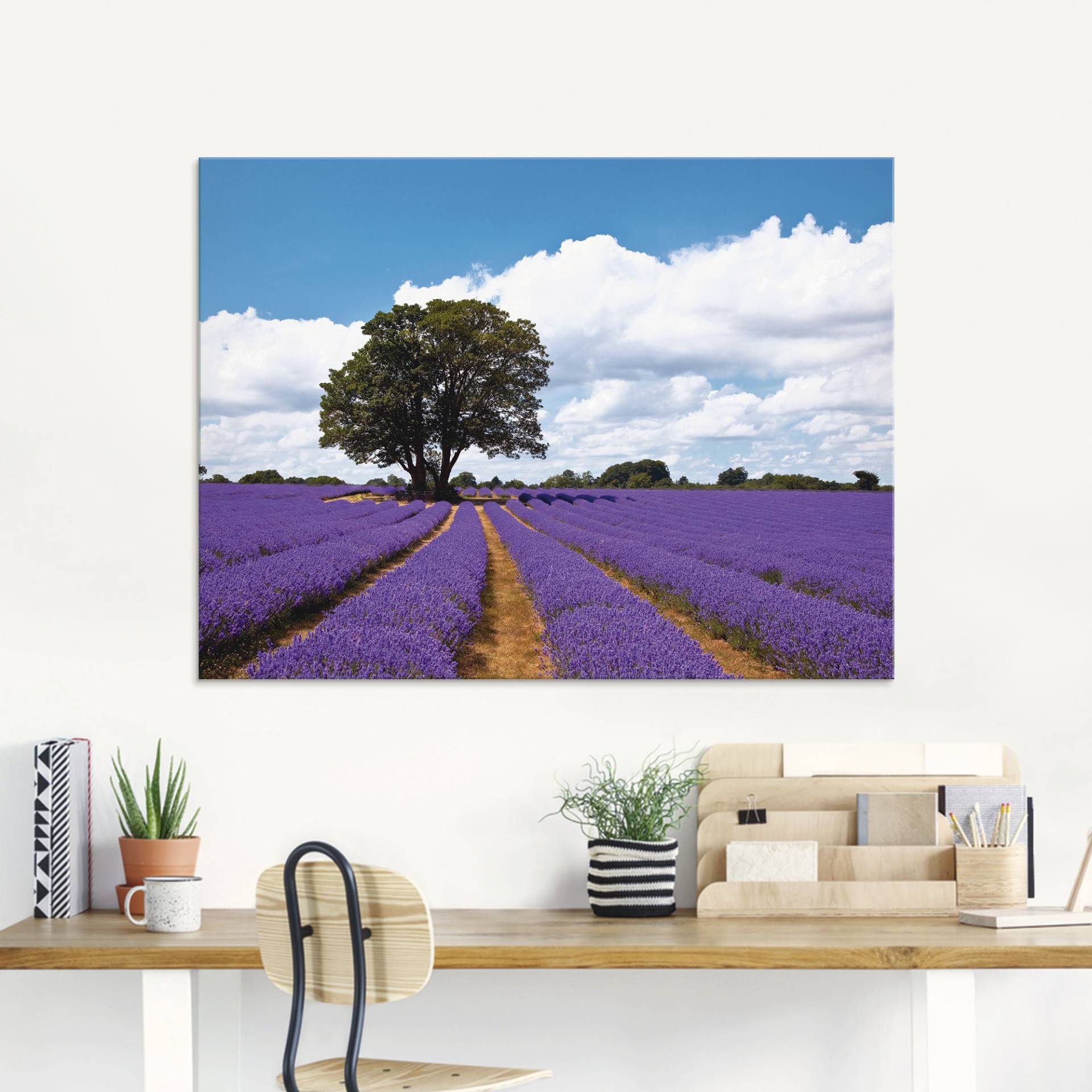 Artland Glasbild »Schönes Lavendelfeld im Sommer«, Felder, (1 St.), in verschiedenen Grössen Artland Glasbild »Schönes Lavendelfeld im Sommer«, Felder, (1 St.), in verschiedenen Grössen von Artland