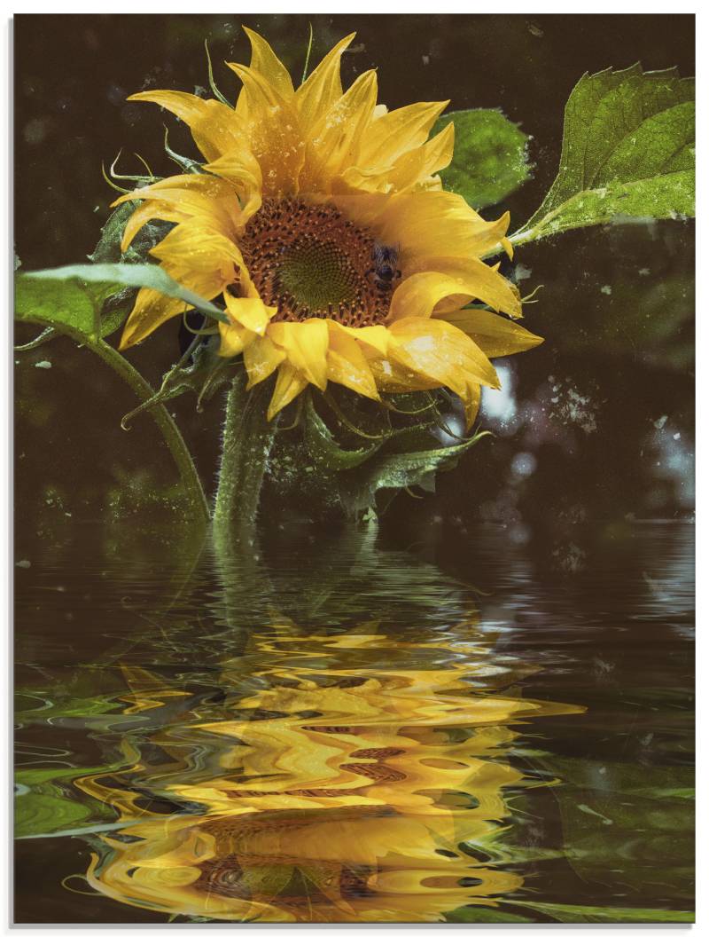 Artland Glasbild »Sonnenblume mit Wasserspiegelung«, Blumen, (1 St.), in verschiedenen Grössen von Artland