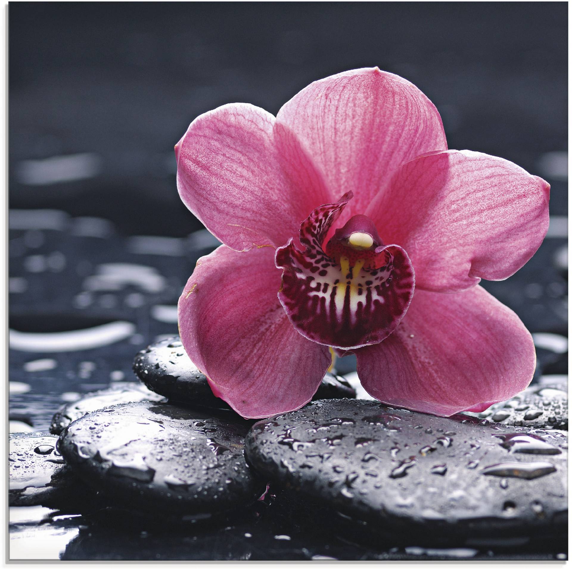 Artland Glasbild »Stillleben mit Kiesel und einer Orchidee«, Blumen, (1 St.), in verschiedenen Grössen von Artland