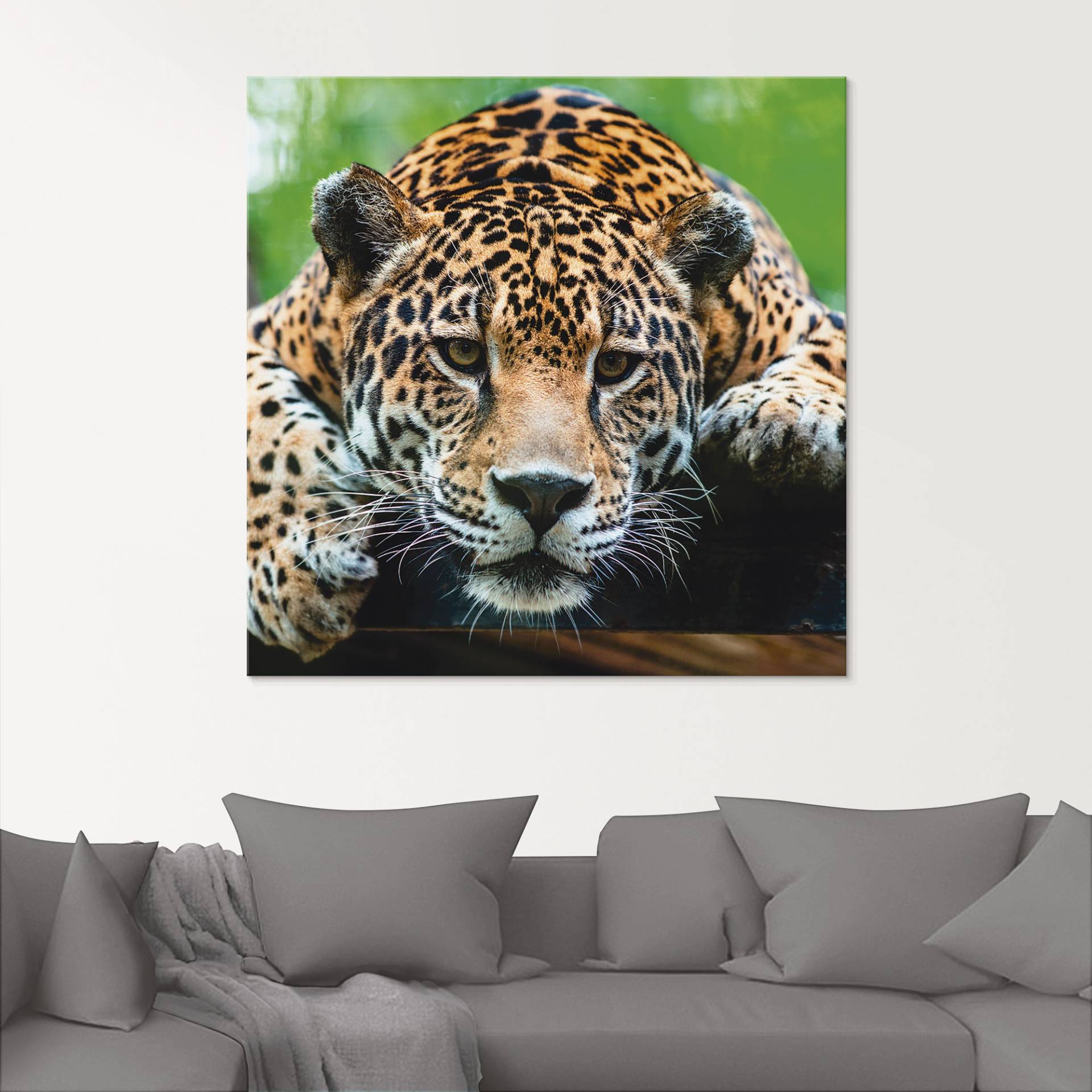 Artland Glasbild »Südamerikanischer Jaguar«, Wildtiere, (1 St.) von Artland