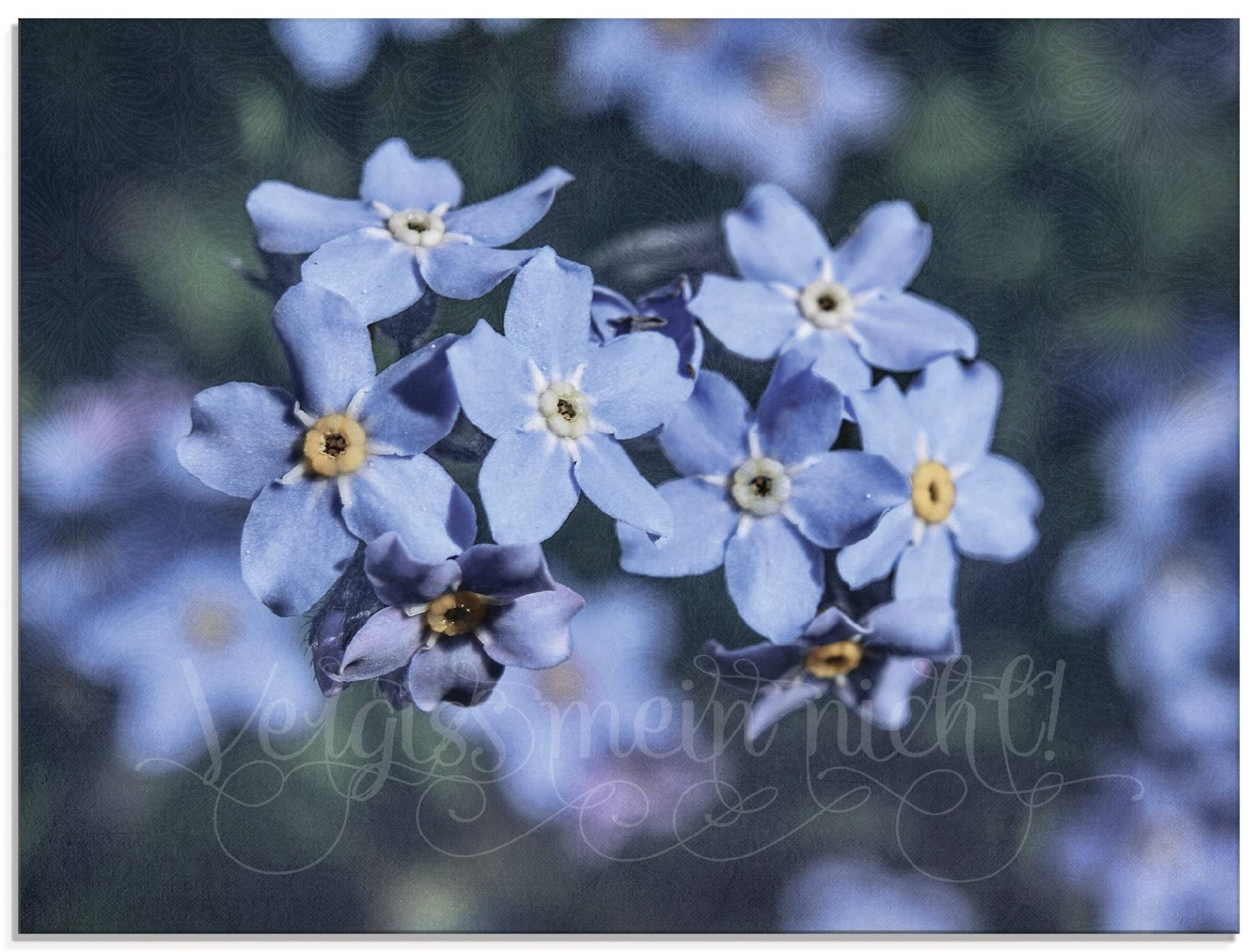 Artland Glasbild »Vergiss mein nicht I«, Blumen, (1 St.), in verschiedenen Grössen von Artland