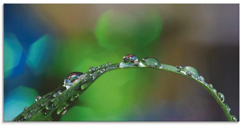 Artland Glasbild »Wassertropfen IV«, Gräser, (1 St.), in verschiedenen Grössen von Artland