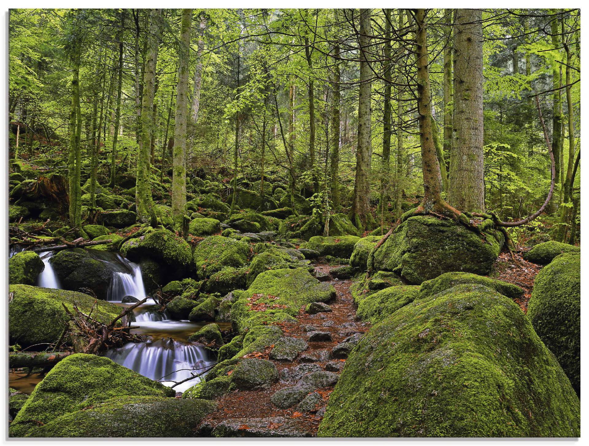 Artland Glasbild »Zauberwald mit Bach«, Wald, (1 St.), in verschiedenen Grössen von Artland