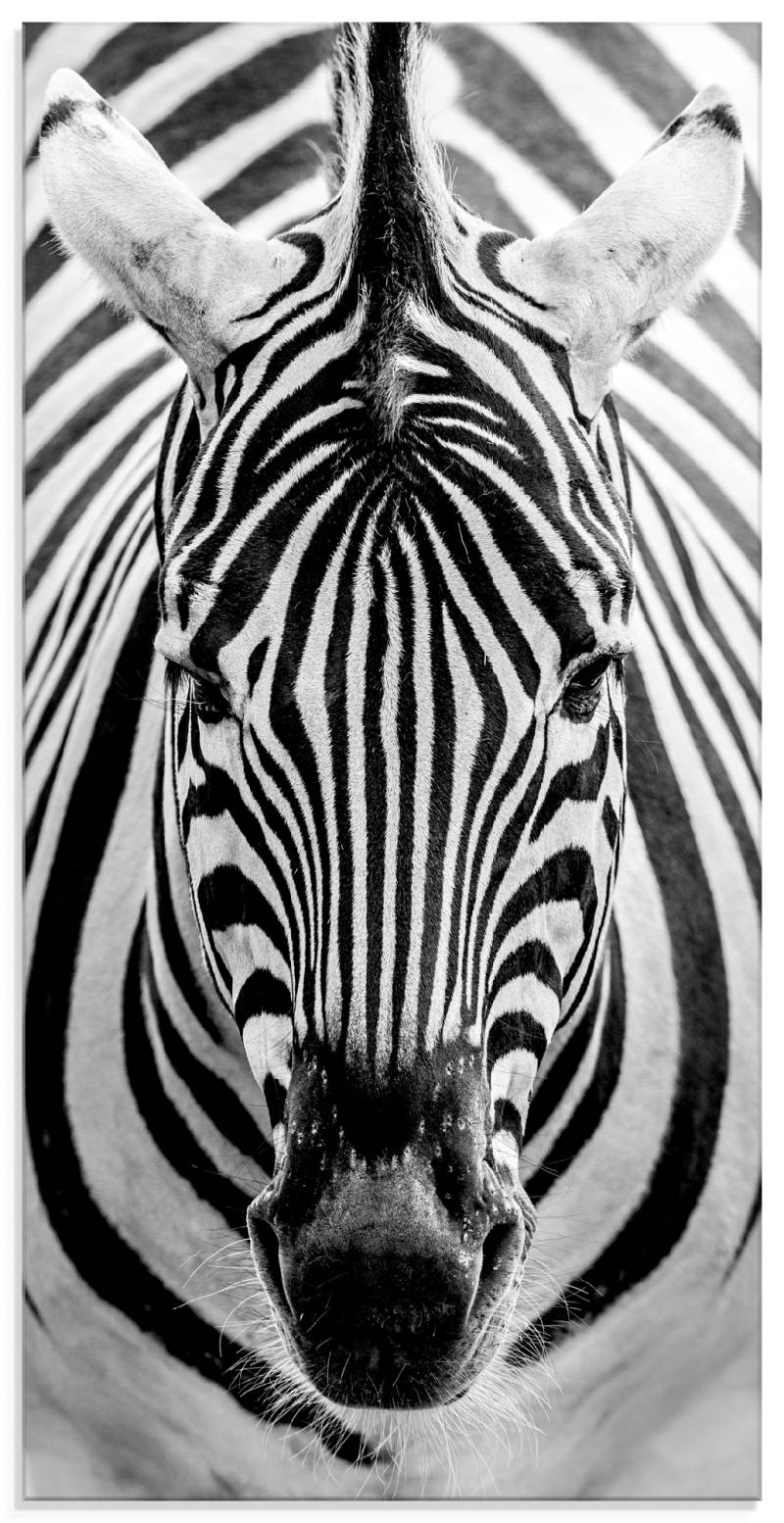 Artland Glasbild »Zebra«, Wildtiere, (1 St.), in verschiedenen Grössen von Artland