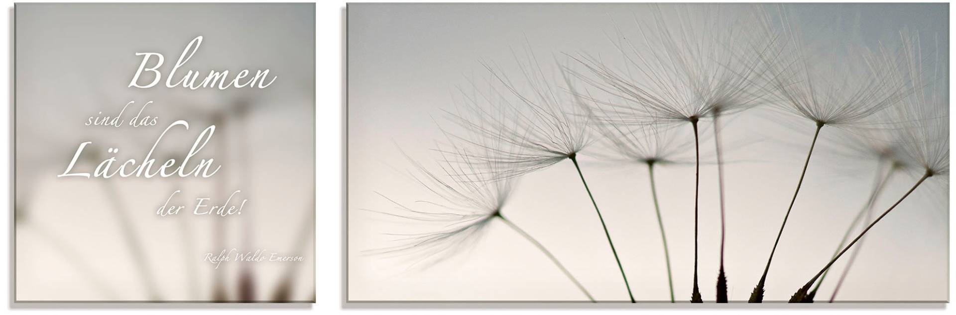 Artland Glasbild »Zitatenbild, Pusteblumen-Samen«, Sprüche & Texte, (2 St.), in verschiedenen Grössen Artland Glasbild »Zitatenbild, Pusteblumen-Samen«, Sprüche & Texte, (2 St.), in verschiedenen Grössen von Artland