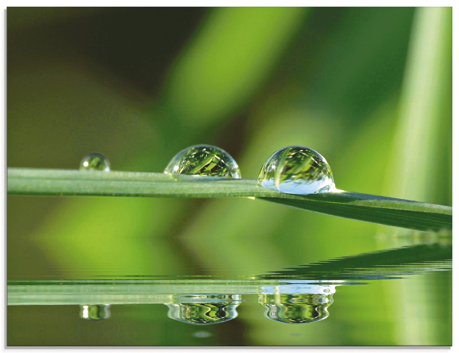 Artland Glasbild »Zwei Wassertropfen«, Gräser, (1 St.), in verschiedenen Grössen von Artland