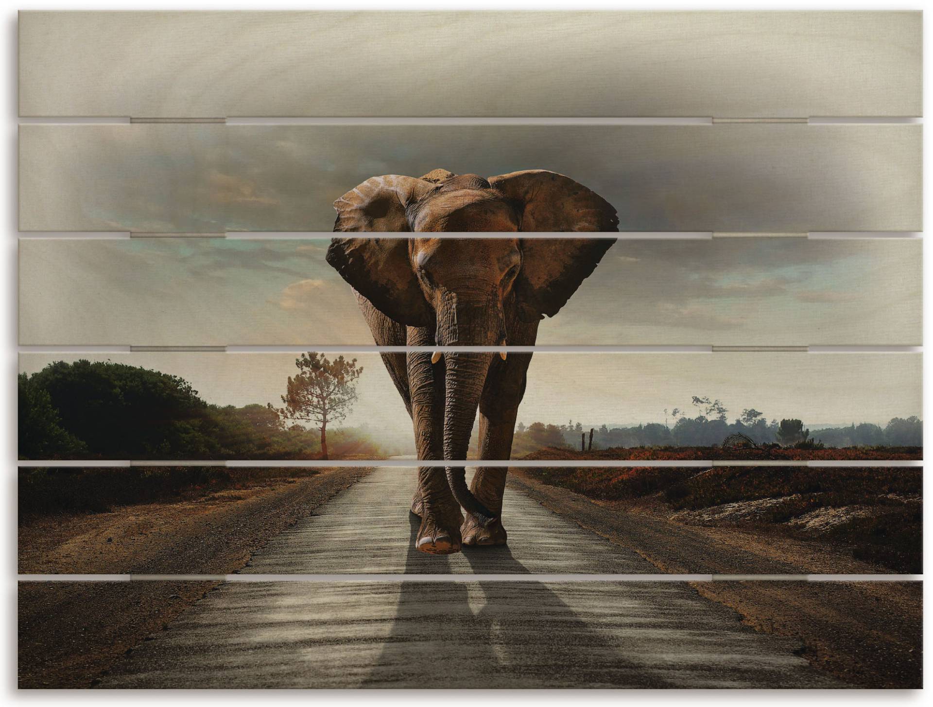 Artland Holzbild »Ein Elefant läuft auf der Strasse«, Elefanten Bilder, (1 St.) von Artland