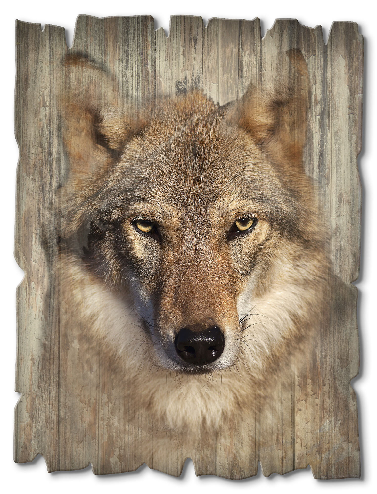 Artland Holzbild »Wolf«, Wildtiere, (1 St.) von Artland