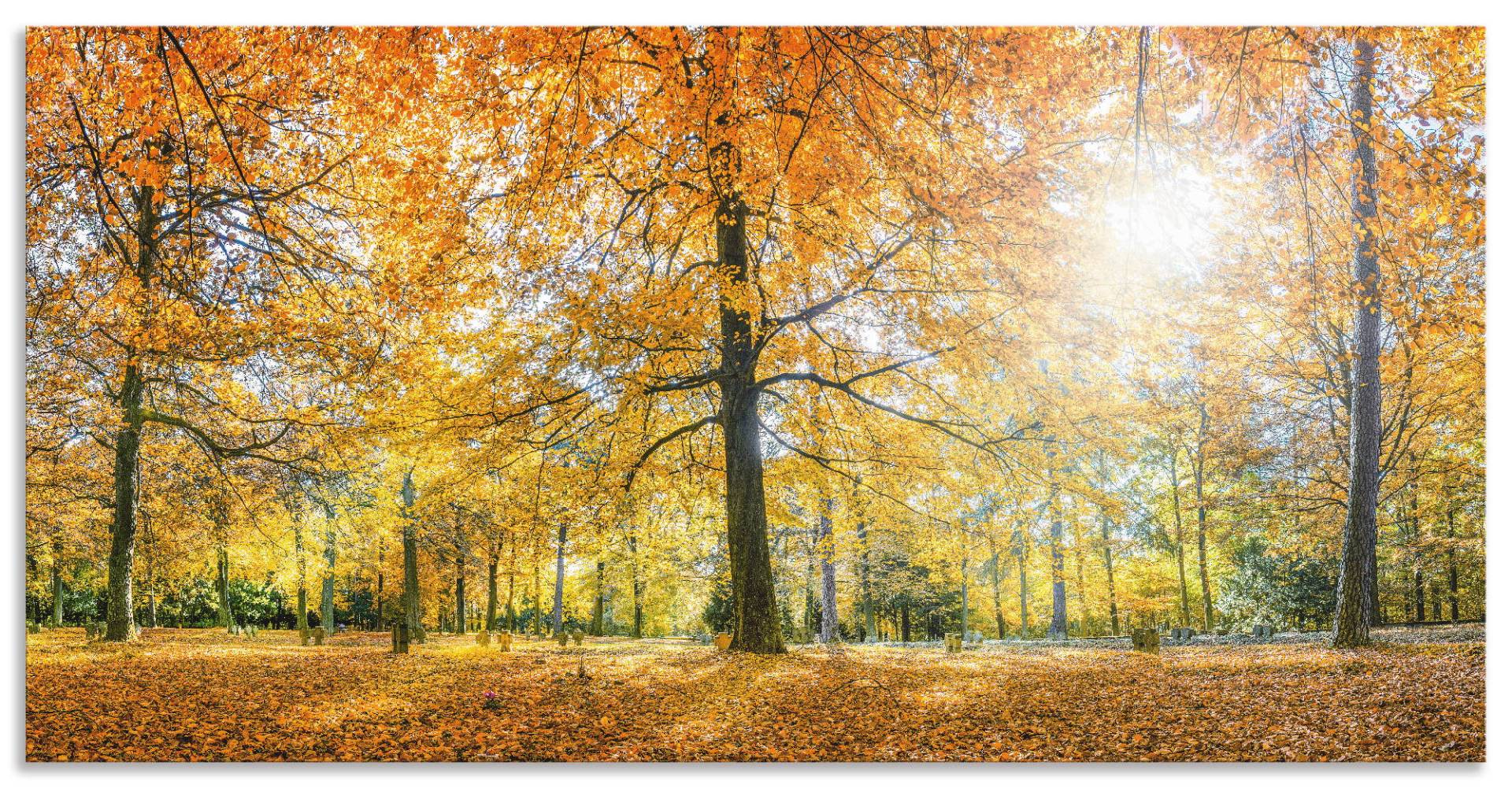 Artland Küchenrückwand »Herbstwald Panorama«, (1 tlg.), Alu Spritzschutz mit Klebeband, einfache Montage von Artland