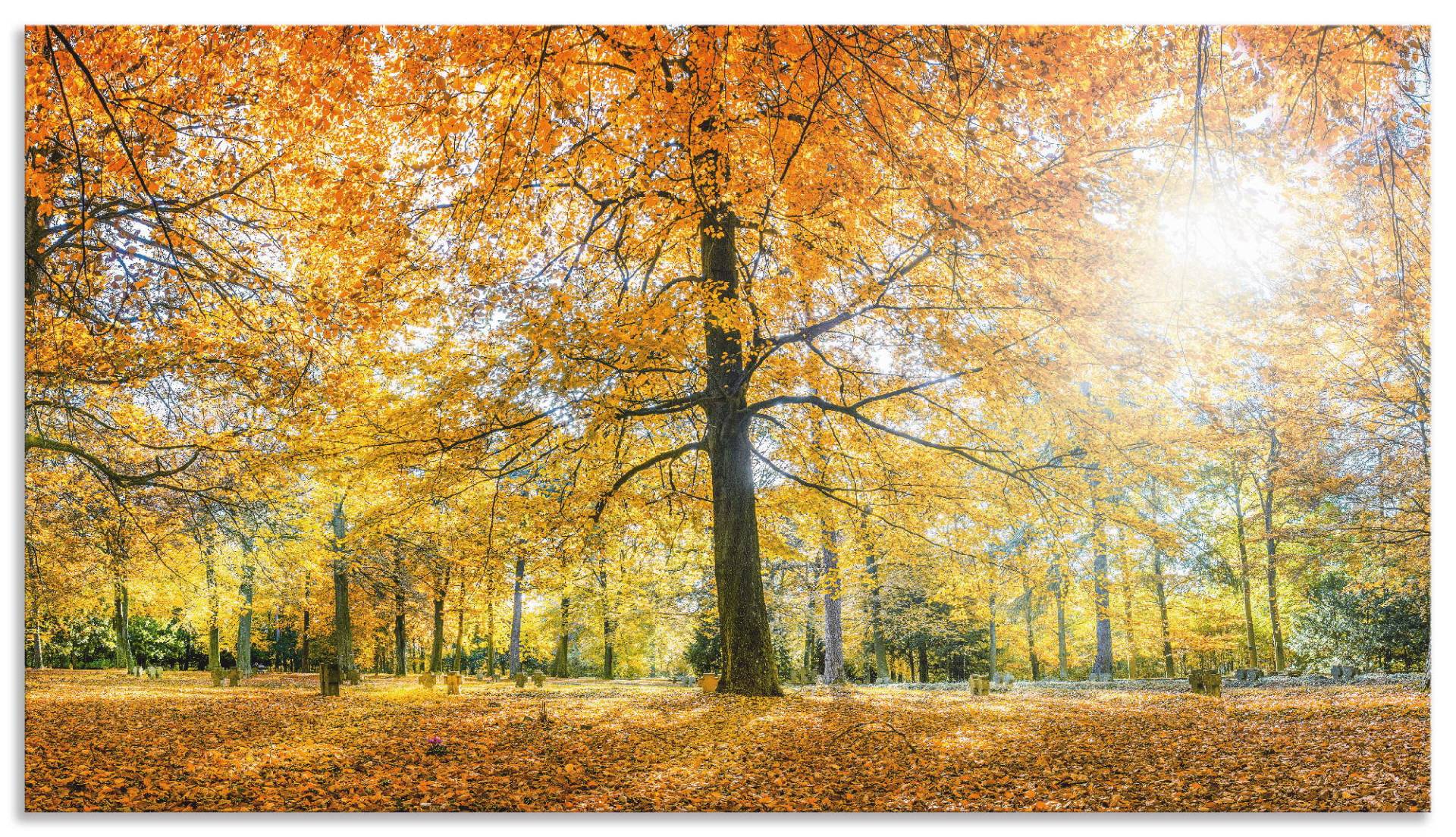 Artland Küchenrückwand »Herbstwald Panorama«, (1 tlg.), Alu Spritzschutz mit Klebeband, einfache Montage von Artland