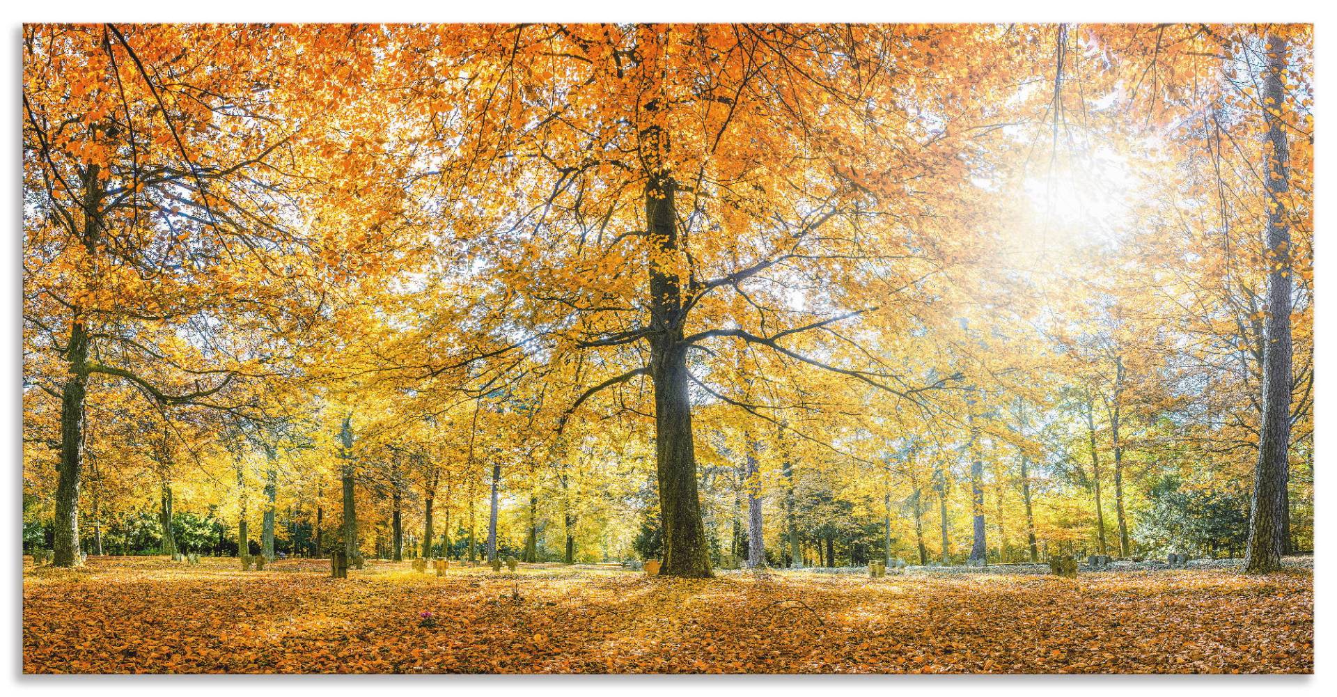 Artland Küchenrückwand »Herbstwald Panorama«, (1 tlg.), Alu Spritzschutz mit Klebeband, einfache Montage von Artland