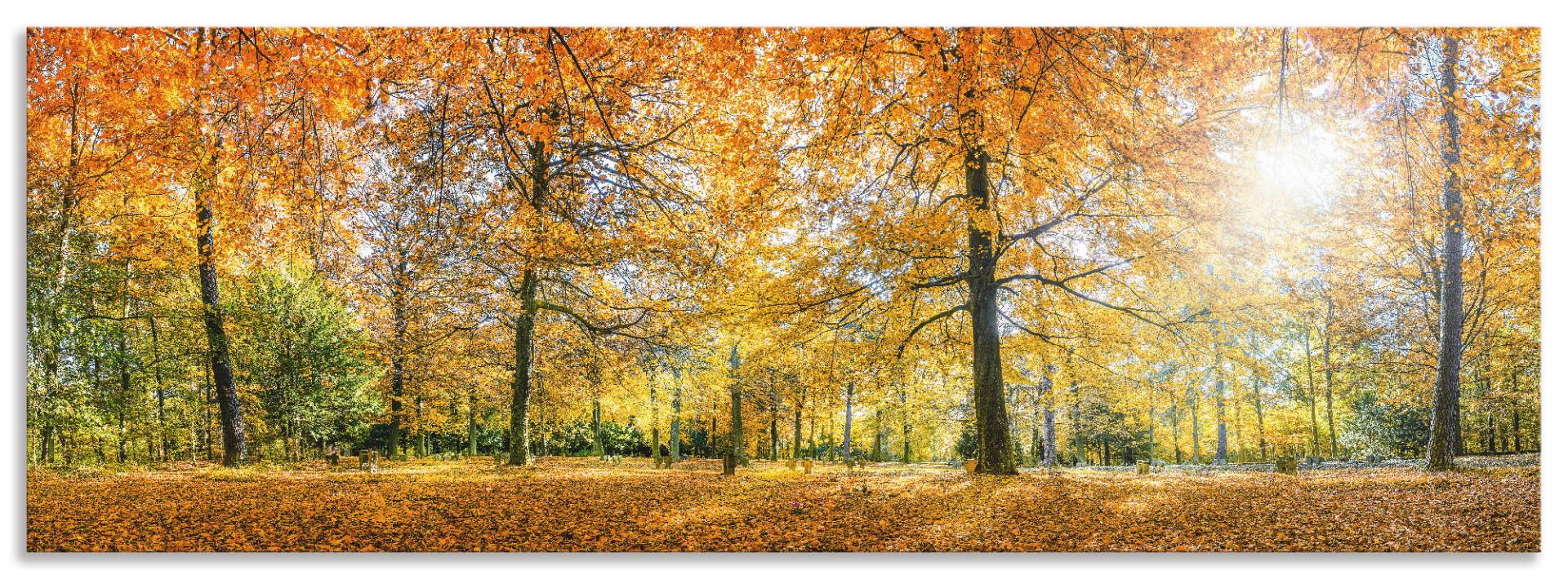 Artland Küchenrückwand »Herbstwald Panorama«, (1 tlg.), Alu Spritzschutz mit Klebeband, einfache Montage von Artland