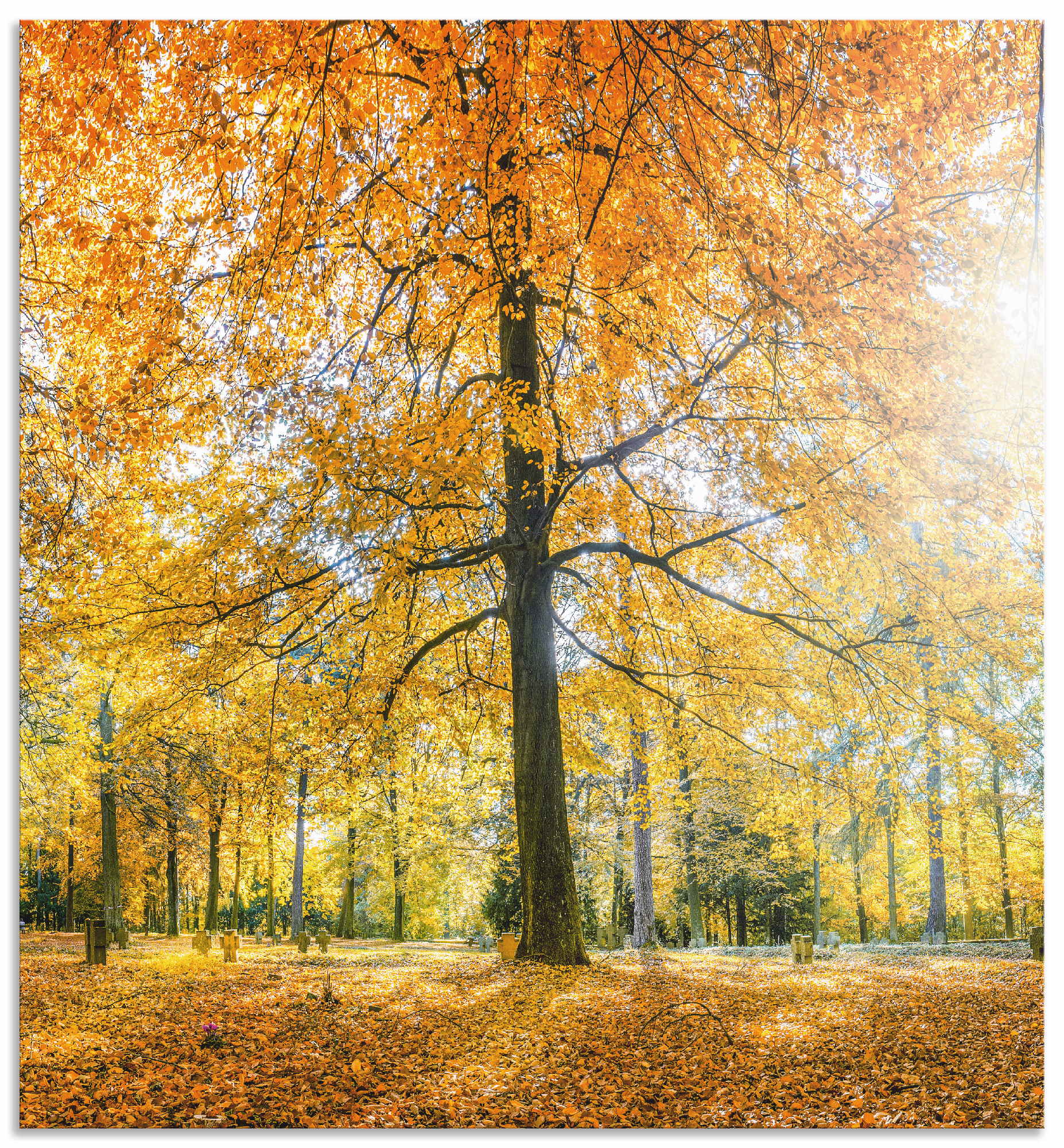 Artland Küchenrückwand »Herbstwald Panorama«, (1 tlg.), Alu Spritzschutz mit Klebeband, einfache Montage von Artland