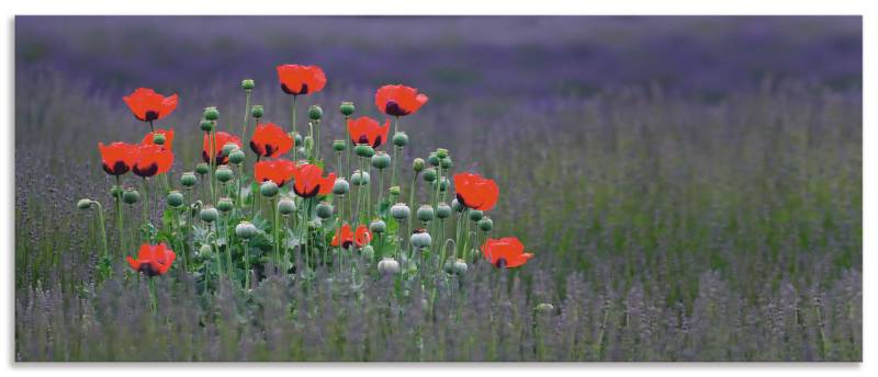 Artland Küchenrückwand »Lavendelfarm in Sequim - Mohnblumen«, (1 tlg.), Alu Spritzschutz mit Klebeband, einfache Montage von Artland