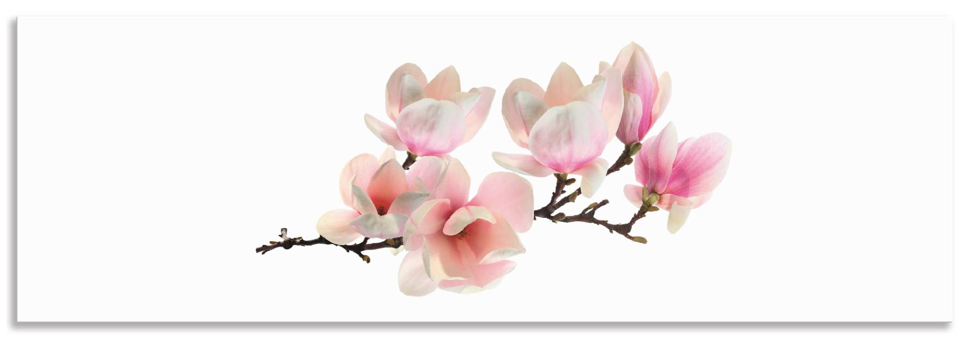 Artland Küchenrückwand »Magnolie«, (1 tlg.), Alu Spritzschutz mit Klebeband, einfache Montage von Artland