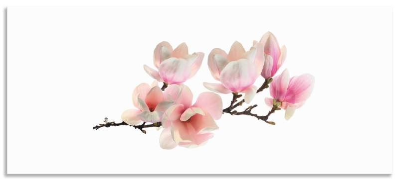 Artland Küchenrückwand »Magnolie«, (1 tlg.), Alu Spritzschutz mit Klebeband, einfache Montage von Artland