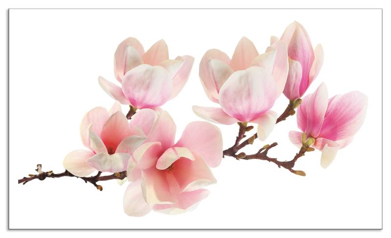 Artland Küchenrückwand »Magnolie«, (1 tlg.), Alu Spritzschutz mit Klebeband, einfache Montage von Artland