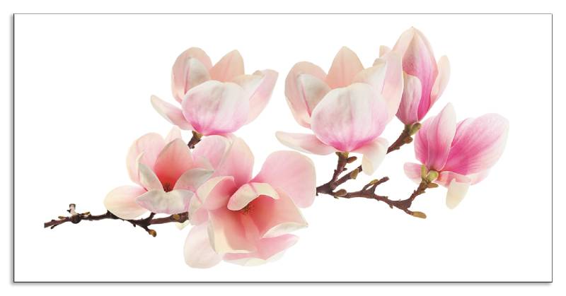 Artland Küchenrückwand »Magnolie«, (1 tlg.), Alu Spritzschutz mit Klebeband, einfache Montage von Artland