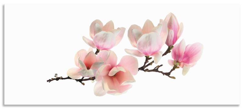 Artland Küchenrückwand »Magnolie«, (1 tlg.), Alu Spritzschutz mit Klebeband, einfache Montage von Artland