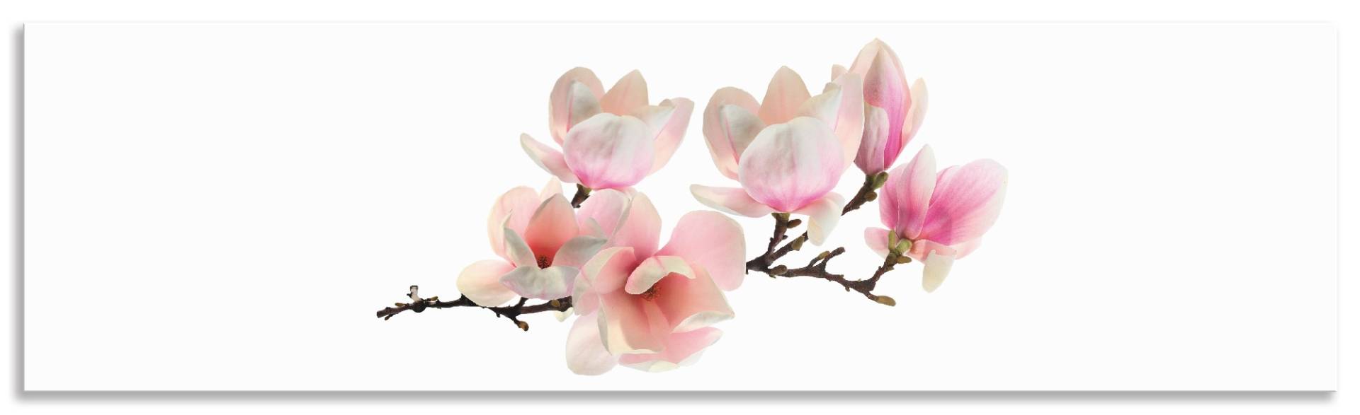 Artland Küchenrückwand »Magnolie«, (1 tlg.), Alu Spritzschutz mit Klebeband, einfache Montage von Artland