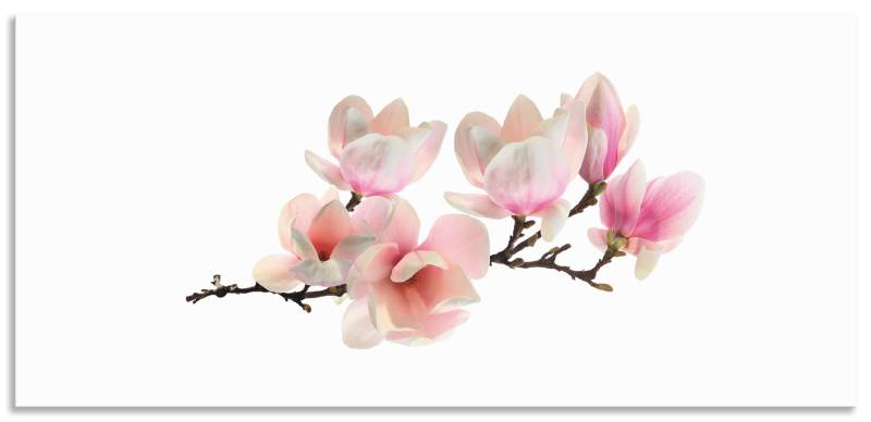 Artland Küchenrückwand »Magnolie«, (1 tlg.), Alu Spritzschutz mit Klebeband, einfache Montage von Artland