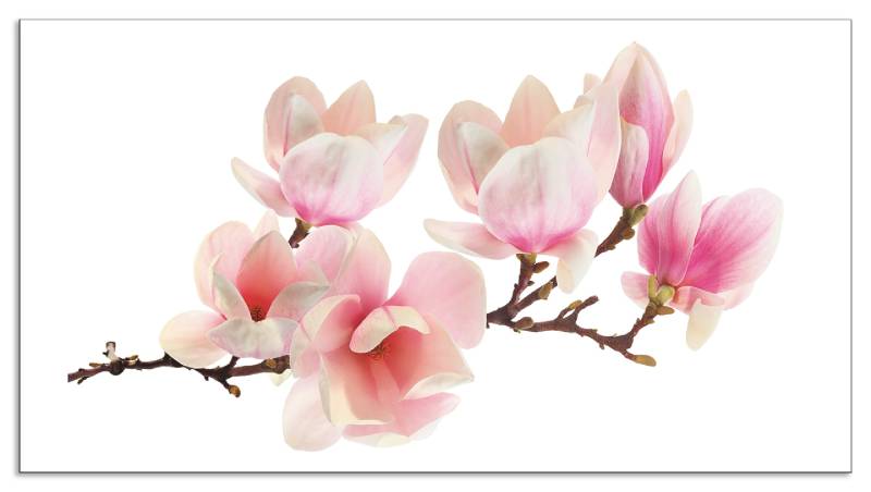 Artland Küchenrückwand »Magnolie«, (1 tlg.), Alu Spritzschutz mit Klebeband, einfache Montage von Artland