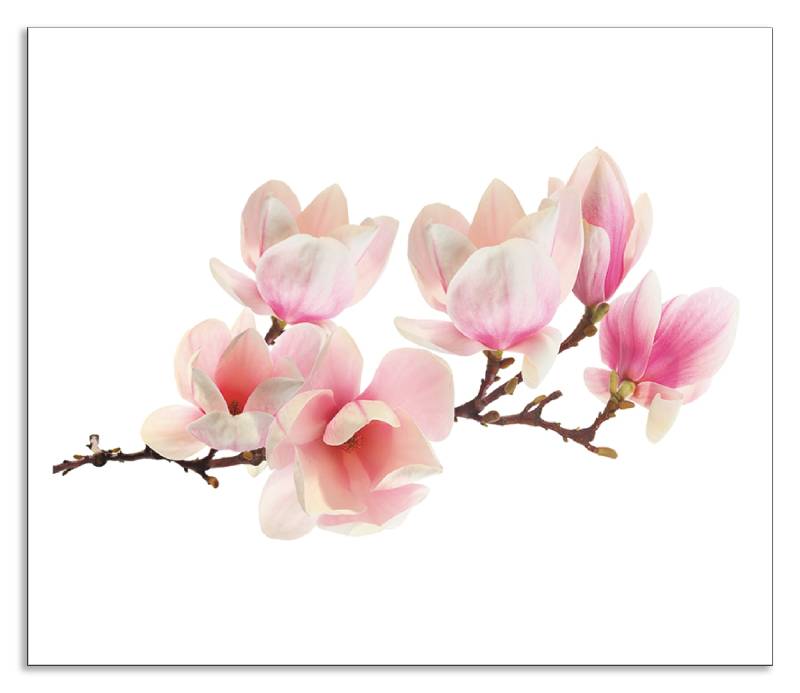 Artland Küchenrückwand »Magnolie«, (1 tlg.), Alu Spritzschutz mit Klebeband, einfache Montage von Artland