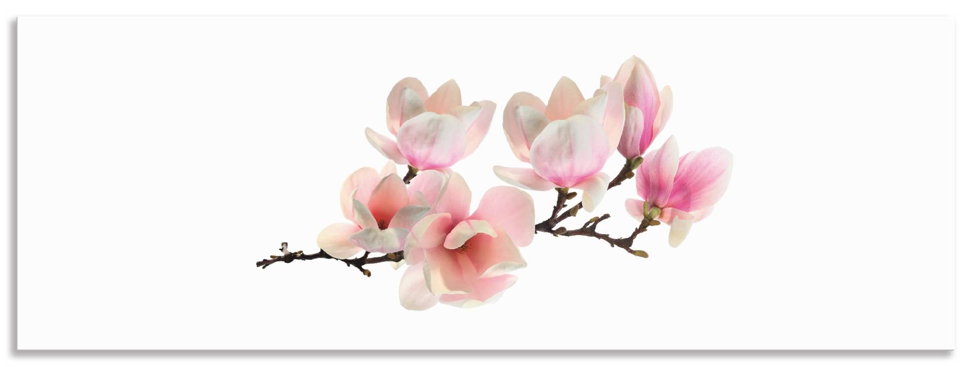 Artland Küchenrückwand »Magnolie«, (1 tlg.), Alu Spritzschutz mit Klebeband, einfache Montage von Artland