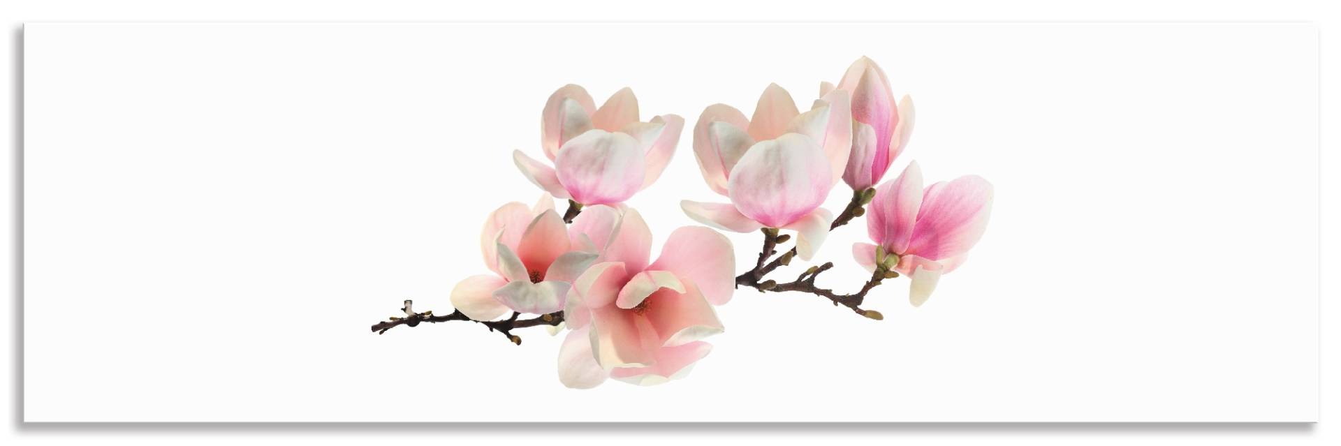 Artland Küchenrückwand »Magnolie«, (1 tlg.), Alu Spritzschutz mit Klebeband, einfache Montage von Artland