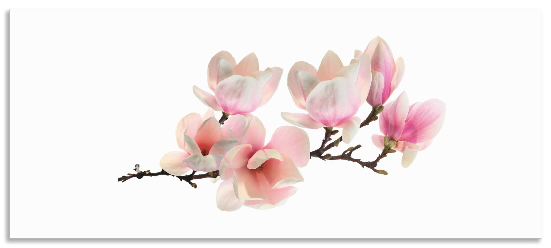 Artland Küchenrückwand »Magnolie«, (1 tlg.), Alu Spritzschutz mit Klebeband, einfache Montage von Artland