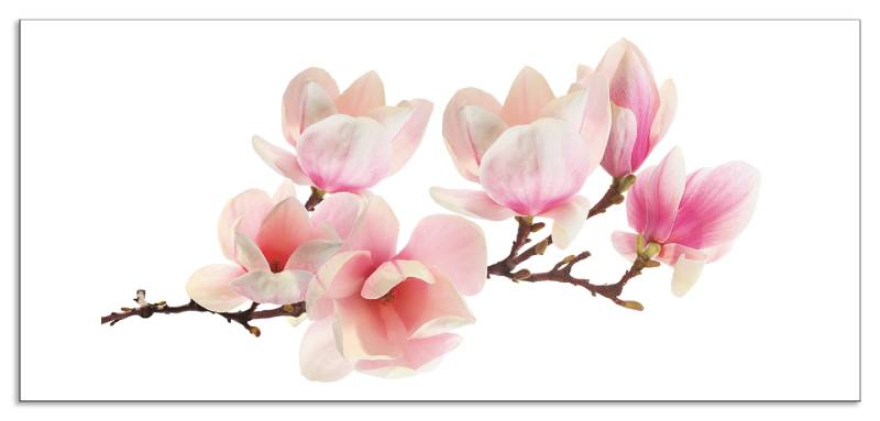 Artland Küchenrückwand »Magnolie«, (1 tlg.), Alu Spritzschutz mit Klebeband, einfache Montage von Artland