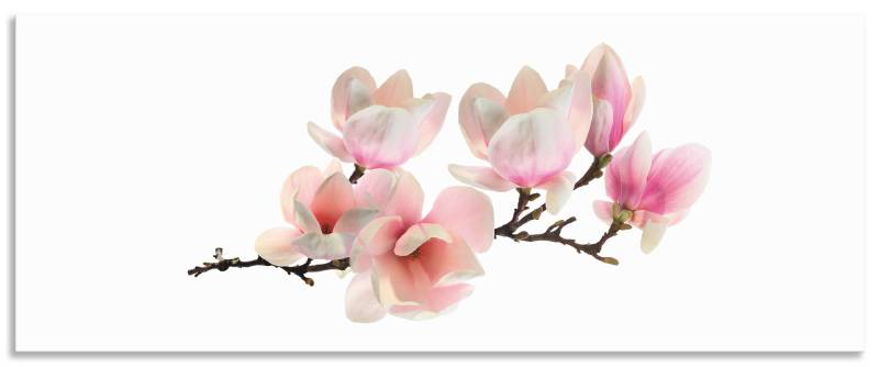 Artland Küchenrückwand »Magnolie«, (1 tlg.), Alu Spritzschutz mit Klebeband, einfache Montage von Artland