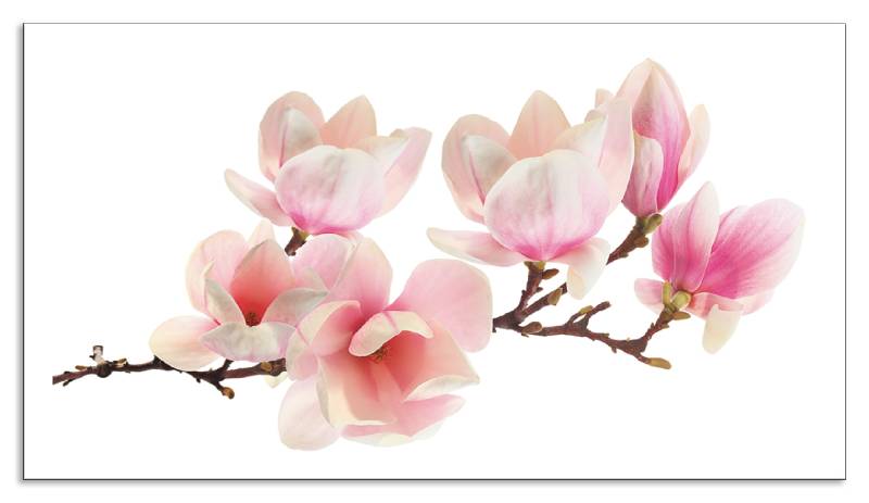 Artland Küchenrückwand »Magnolie«, (1 tlg.), Alu Spritzschutz mit Klebeband, einfache Montage von Artland