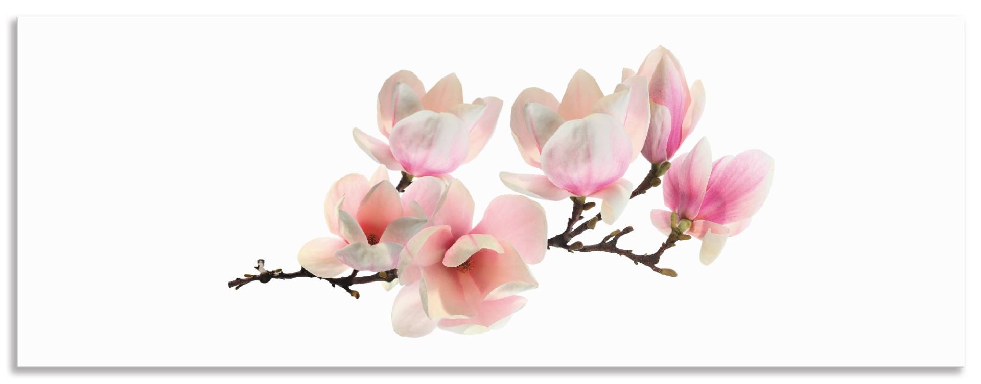 Artland Küchenrückwand »Magnolie«, (1 tlg.), Alu Spritzschutz mit Klebeband, einfache Montage von Artland